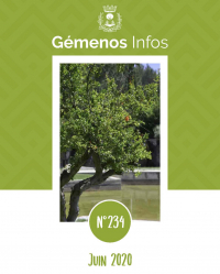 Gémenos Infos de juin 2020 N°234